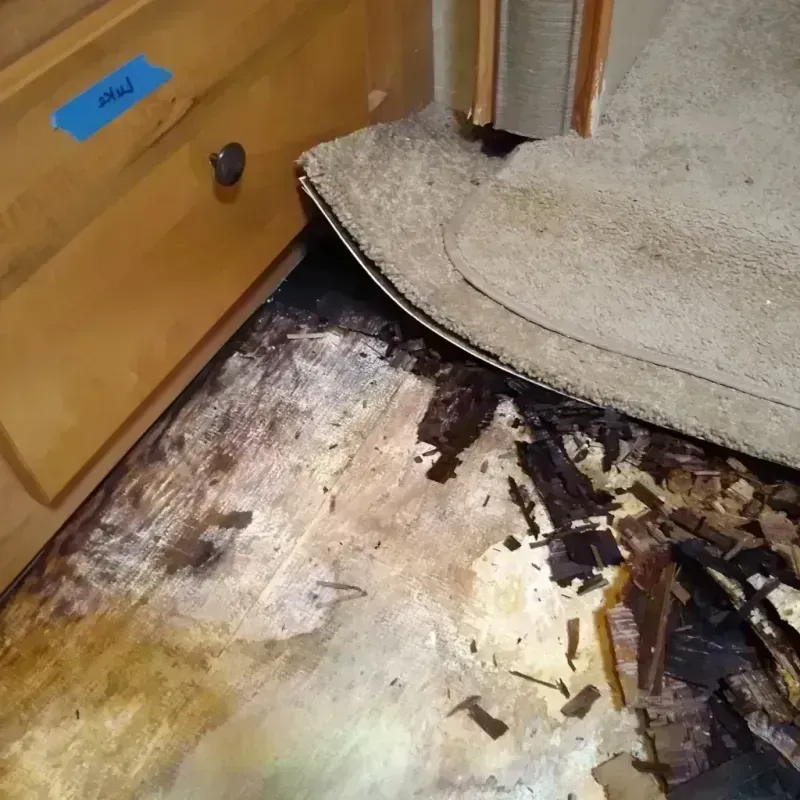 Best Wood Floor Water Damage Service in Collinsville, TX